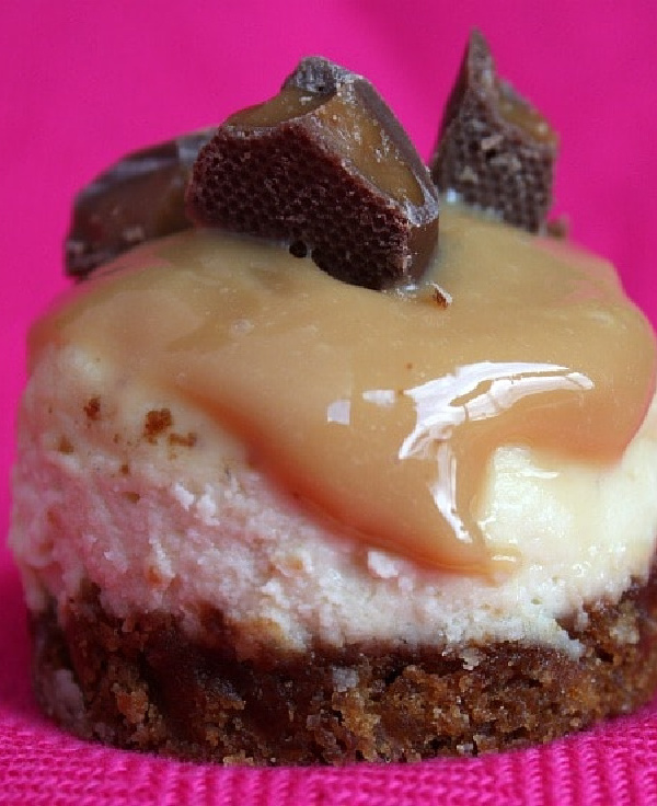 mini toffee crunch cheesecake