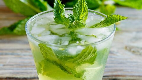 Mojitos Recipe - Recipe Girl