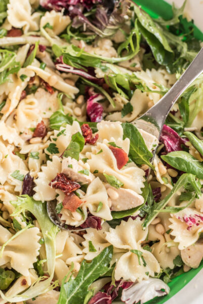 Chicken Pasta Salad Recipe Girl