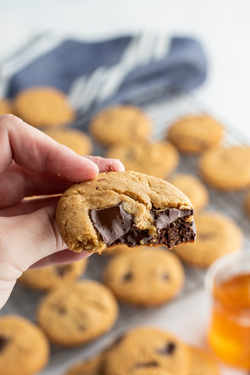  hand holding  cozy  as well as gooey  delicious chocolate  portion cookie