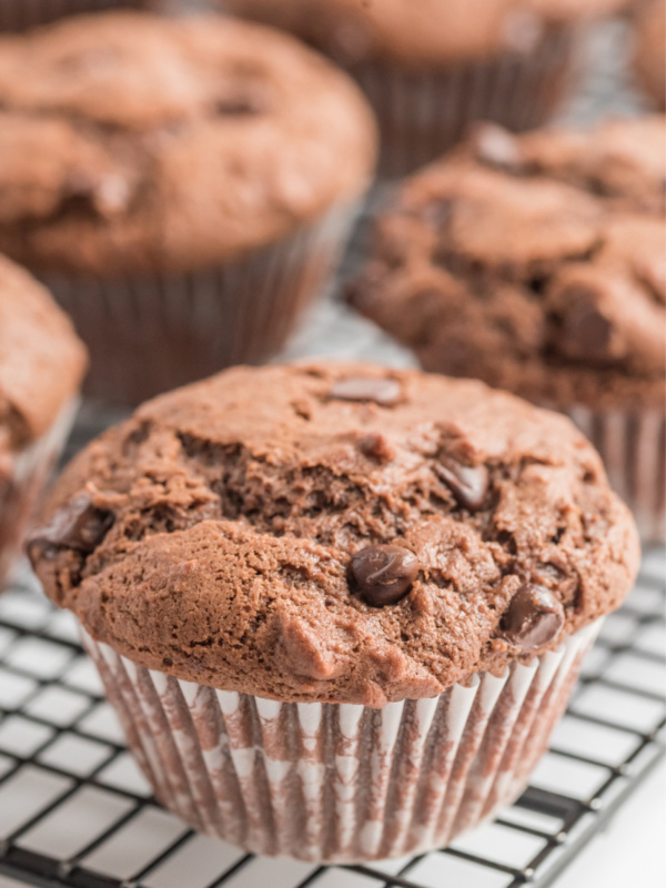 chocolate muffins