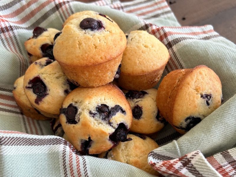 Old Fashioned Blueberry Muffins – Recipe Girl