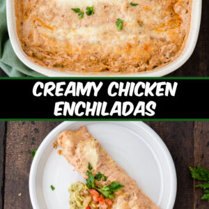 Creamy Chicken Enchiladas - Recipe Girl
