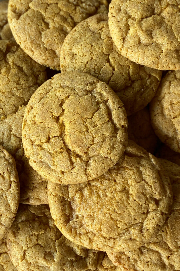 Pumpkin Snickerdoodles - Recipe Girl