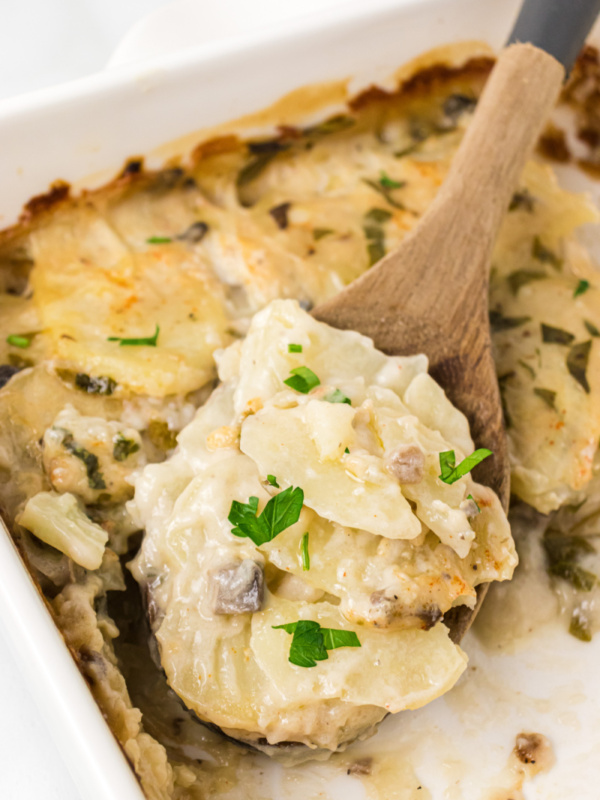 spoonful of scalloped potatoes