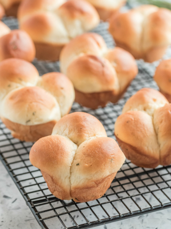 cloverleaf rolls on a cooling rack