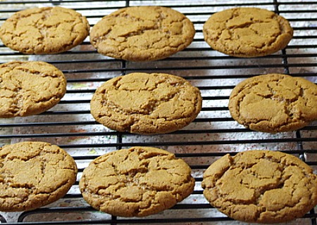 crisp ginger snap cookies recipes