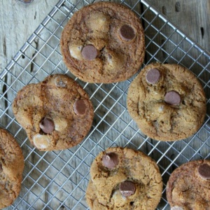 Milk Chocolate Gingersnaps