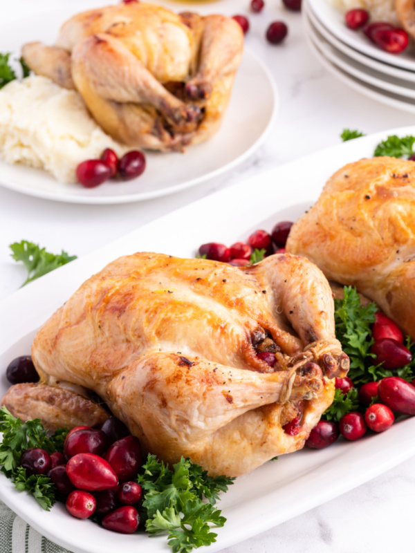 cranberry stuffed cornish hen on a platter