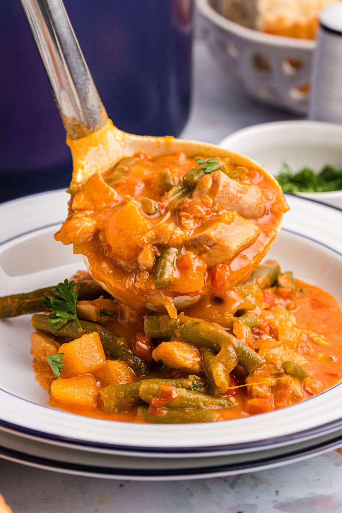 ladle full of chicken pumpkin stew onto plate