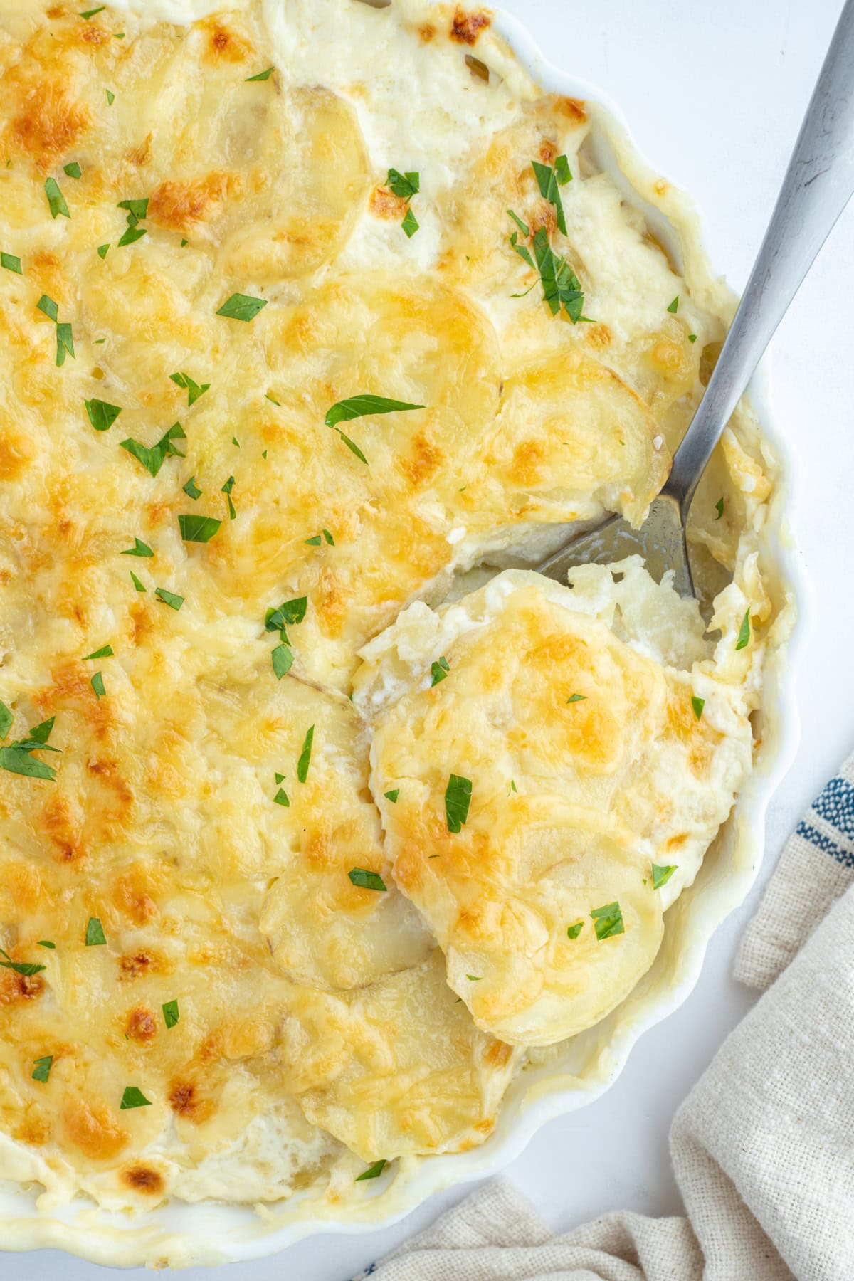 potato leek gratin in a casserole dish with a spoon