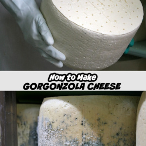 How to Make Gorgonzola Cheese two photos