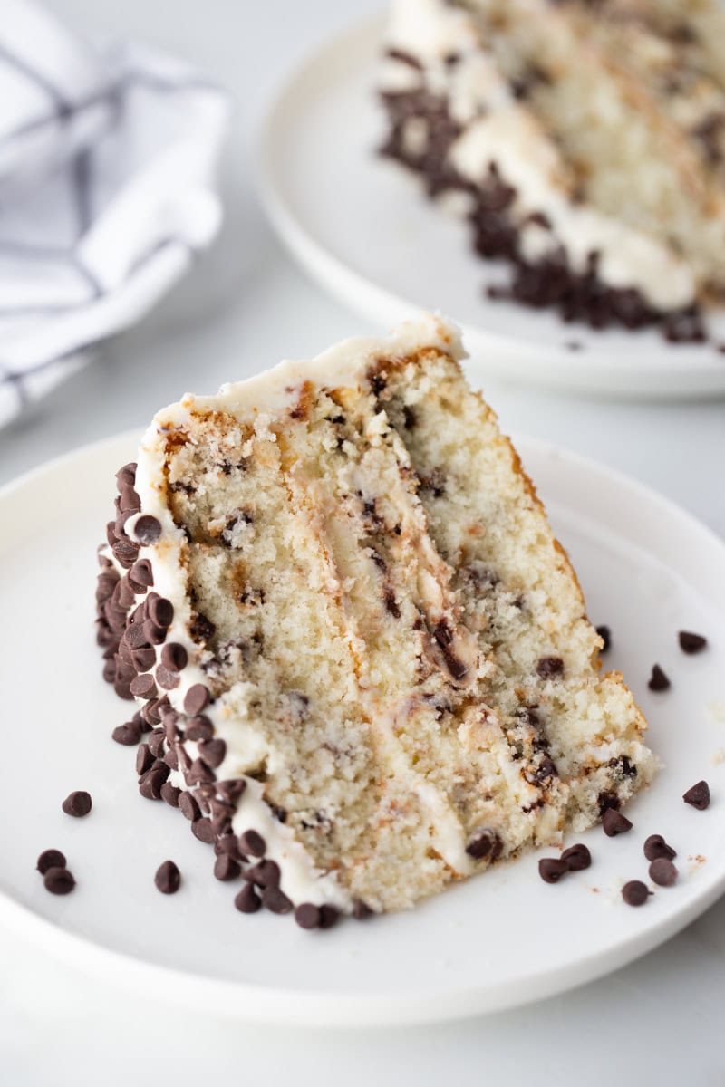 slice of chocolate chip cheesecake cake