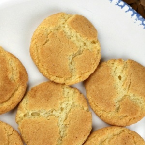 Snickerdoodle