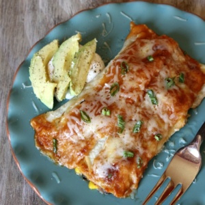 Vegetable Enchiladas