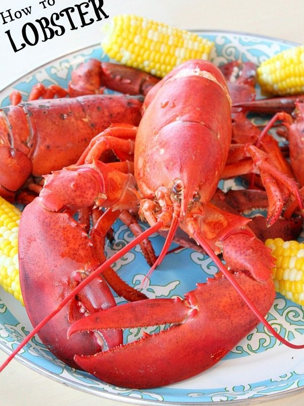 How to Steam Lobster Pinterest Pin