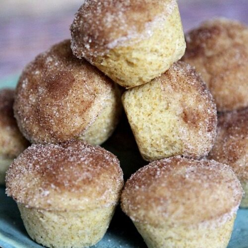 https://www.recipegirl.com/wp-content/uploads/2014/11/Snickerdoodle-Muffins-Recipe-1-500x500.jpg