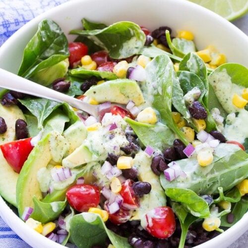 https://www.recipegirl.com/wp-content/uploads/2017/01/southwest-spinach-salad-rg-1514-1-1-500x500.jpg