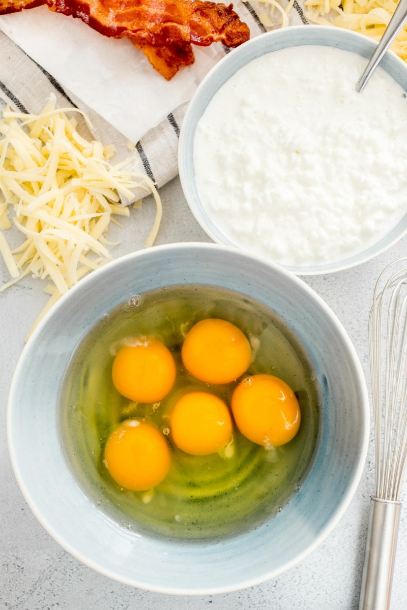 The BEST Egg Bites Recipe - Aleka's Get-Together