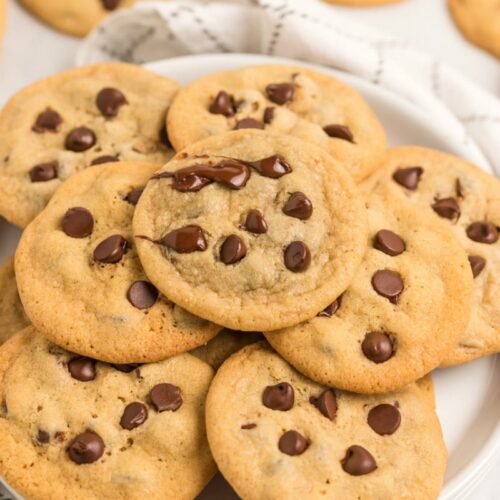 One Bowl Chocolate Chip Cookies - Recipe Girl®