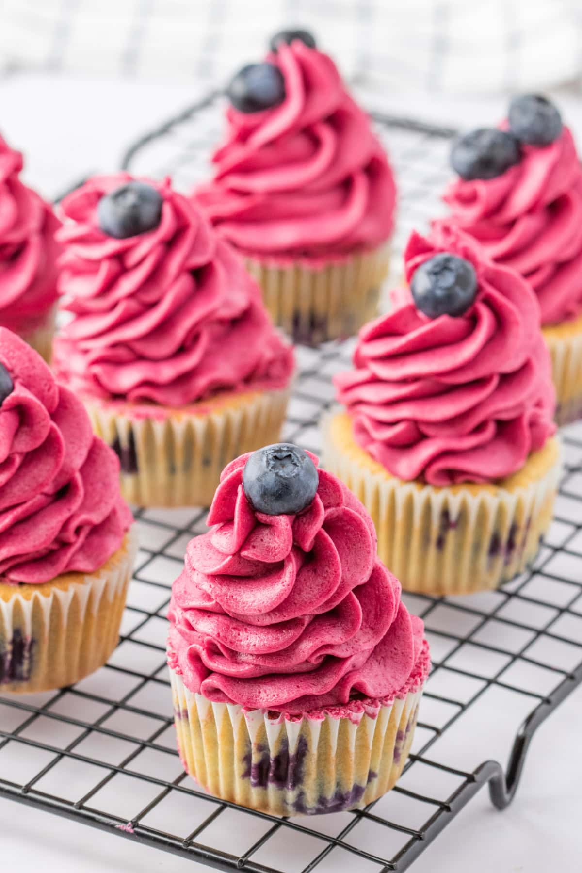 several blueberry cupcakes on a rack