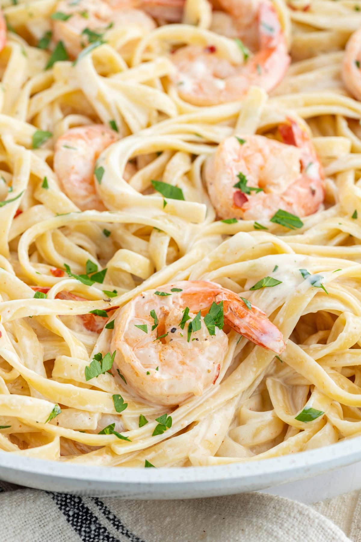 close up shrimp scampi alfredo