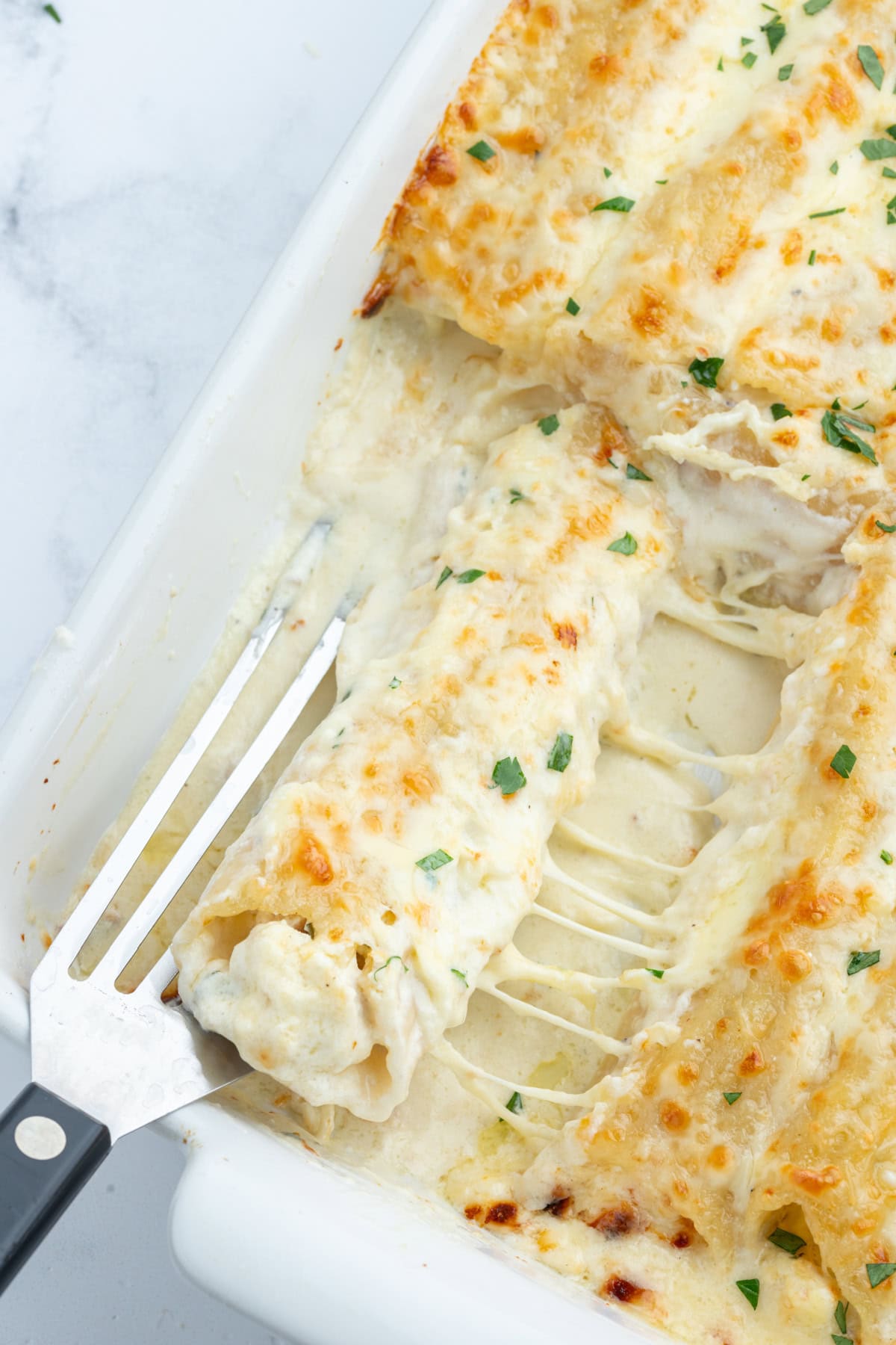 looking down on chicken manicotti alfredo in pan