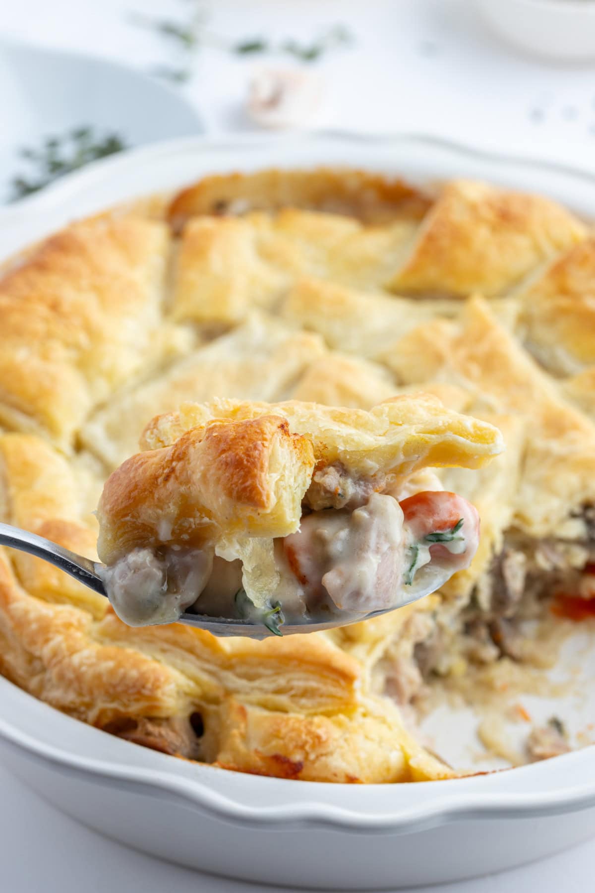 spoonful of coq au vin pot pie