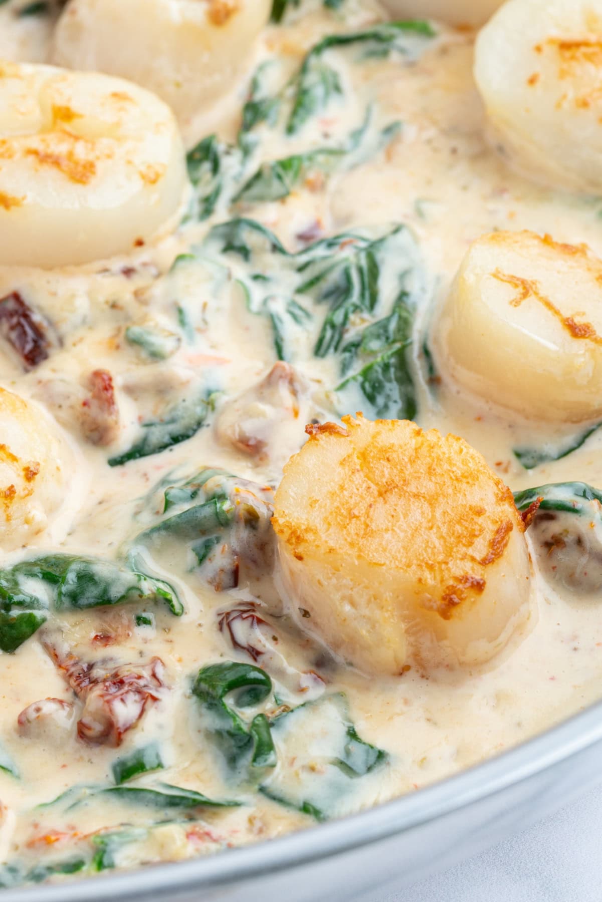 scallops in cream sauce in pan