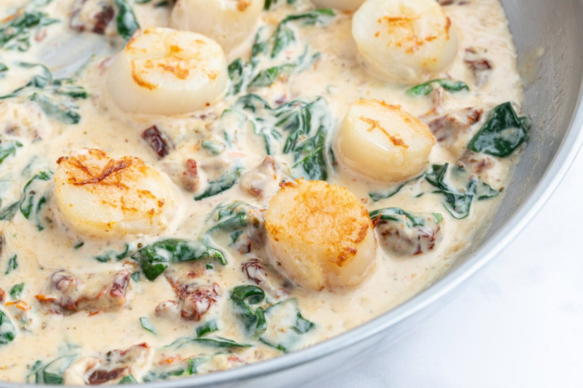 Scallops in Cream Sauce – Recipe Girl®