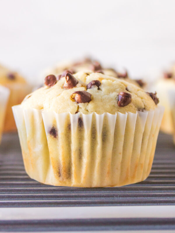 chocolate chip muffin on rack