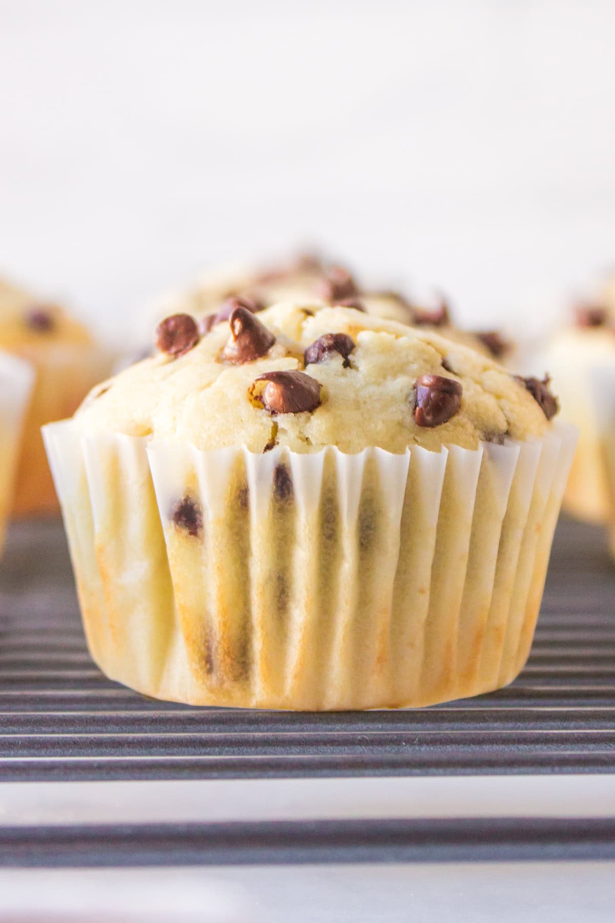 chocolate chip muffin on rack