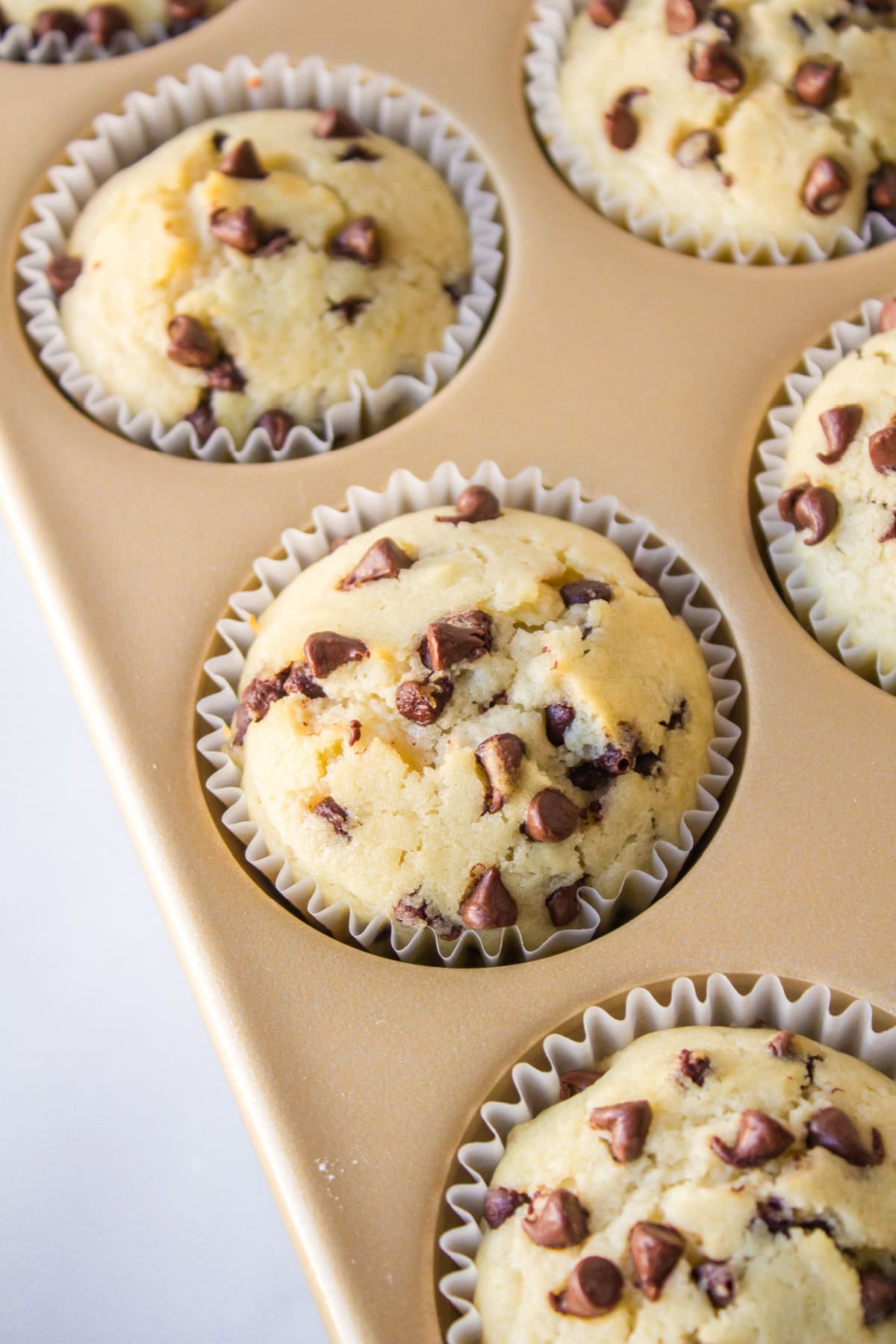 chocolate chip muffins in muffin pan